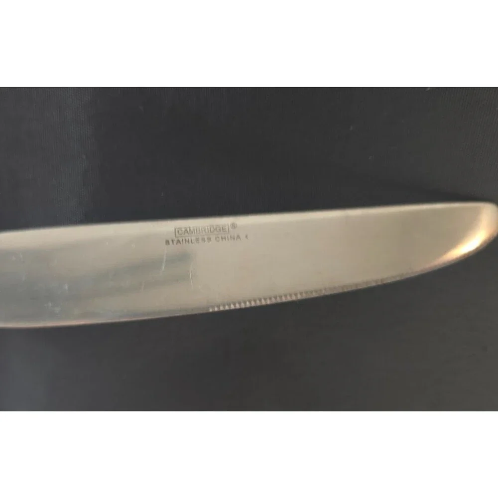 LOT OF 6 Oneida Stainless FLATWARE SIENNA? DINNER KNIVES - 9